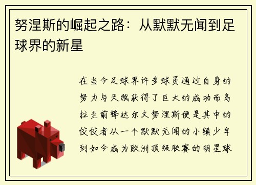 努涅斯的崛起之路：从默默无闻到足球界的新星