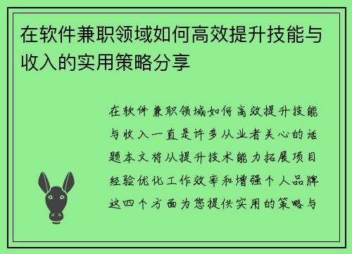 在软件兼职领域如何高效提升技能与收入的实用策略分享