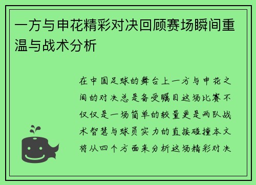 一方与申花精彩对决回顾赛场瞬间重温与战术分析