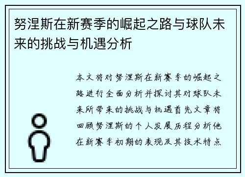 努涅斯在新赛季的崛起之路与球队未来的挑战与机遇分析